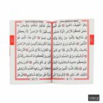 Çanta Boy 80 Sayfa 41 Yasin - Elmalılı Hamdi Yazır Meali - Görsel 6